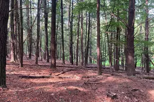 Light Rd, Winchester, VA 22603 - Photo 73