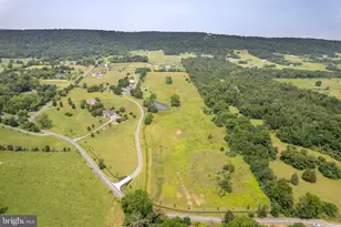 582 Miller Rd, Winchester, VA 22602 - Photo 59