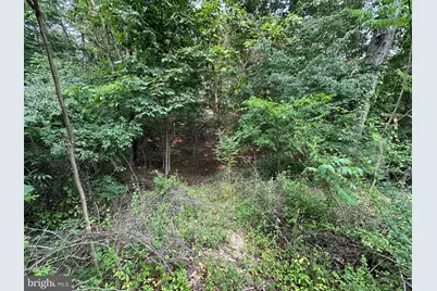 147 Lake Holiday Road, Cross Junction, VA 22625 - Photo 3