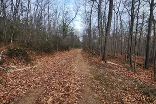 Belwort Trail, Star Tannery, VA 22654 - Photo 1