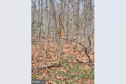 Belwort Trail, Star Tannery, VA 22654 - Photo 3