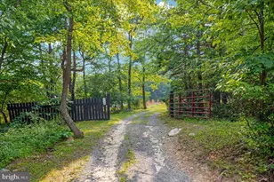 904 Archwood Trl, Winchester, VA 22602 - Photo 35