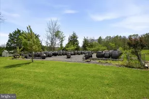2121 S Pifer Rd, Star Tannery, VA 22654 - Photo 107