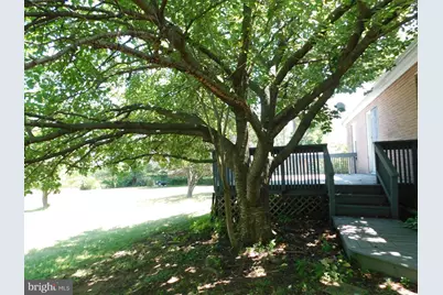 2251 Senseny Road, Winchester, VA 22602 - Photo 43