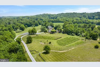 450 Green Spring Road, Winchester, VA 22603 - Photo 55