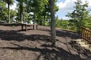 334 Overlook Dr, Cross Junction, VA 22625 - Photo 17
