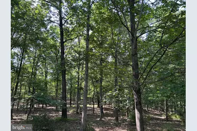 Brush Creek Road, Winchester, VA 22603 - Photo 11