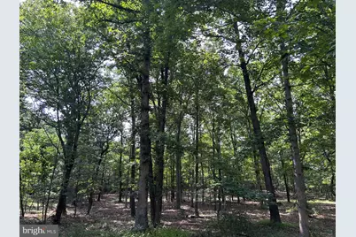 Brush Creek Road, Winchester, VA 22603 - Photo 9