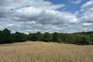Brush Creek Rd, Winchester, VA 22603 - Photo 1