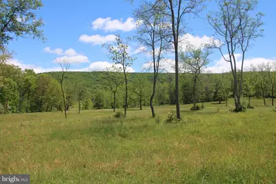 251 Barclays Run Lane, Gore, VA 22637 - Photo 25