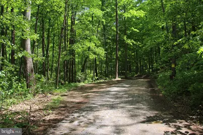 251 Barclays Run Lane, Gore, VA 22637 - Photo 65