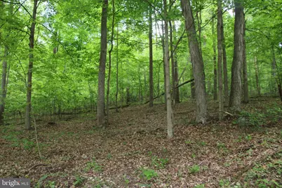 251 Barclays Run Lane, Gore, VA 22637 - Photo 67