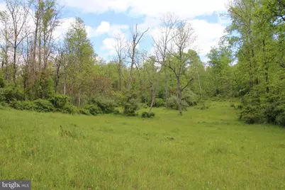 251 Barclays Run Lane, Gore, VA 22637 - Photo 45
