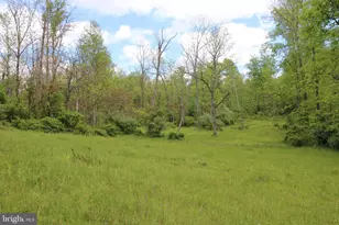 251 Barclays Run Ln, Gore, VA 22637 - Photo 45