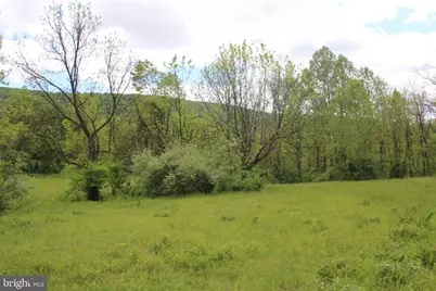 251 Barclays Run Lane, Gore, VA 22637 - Photo 41