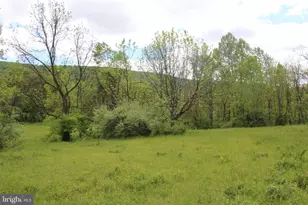 251 Barclays Run Ln, Gore, VA 22637 - Photo 41