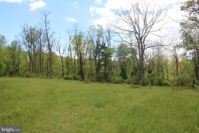 251 Barclays Run Lane, Gore, VA 22637 - Photo 47