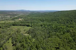 251 Barclays Run Ln, Gore, VA 22637 - Photo 101