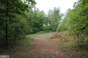 251 Barclays Run Ln, Gore, VA 22637 - Photo 103