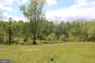 251 Barclays Run Ln, Gore, VA 22637 - Photo 69