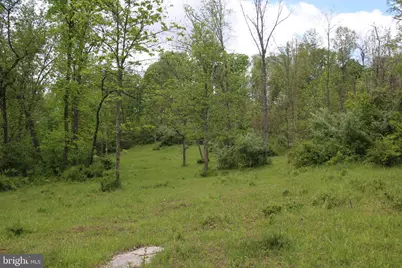251 Barclays Run Lane, Gore, VA 22637 - Photo 43