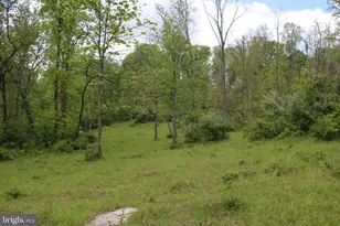 251 Barclays Run Ln, Gore, VA 22637 - Photo 43