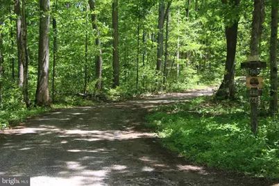 251 Barclays Run Lane, Gore, VA 22637 - Photo 63
