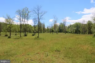 251 Barclays Run Ln, Gore, VA 22637 - Photo 27