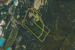 251 Barclays Run Ln, Gore, VA 22637 - Photo 133