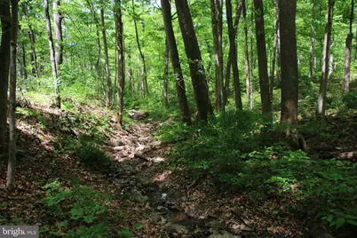 251 Barclays Run Lane, Gore, VA 22637 - Photo 75