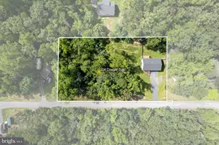 204 Cougar Trail, Winchester, VA 22602 - Photo 5