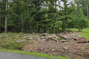 204 Cougar Trail, Winchester, VA 22602 - Photo 3