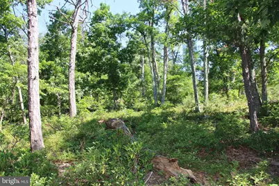 Wolf Spring Trail, Winchester, VA 22602 - Photo 5