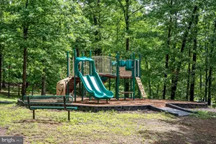 125 Lake Holliday, Cross Junction, VA 22625 - Photo 59