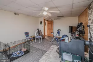 642 Paddys Run Rd, Star Tannery, VA 22654 - Photo 53