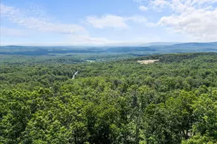 403 Stag Trail, Winchester, VA 22602 - Photo 55