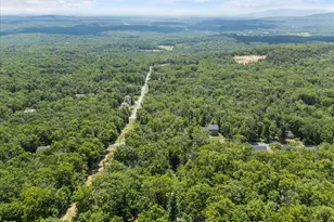 403 Stag Trail, Winchester, VA 22602 - Photo 53