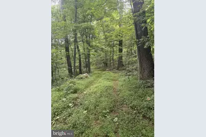 Sundown Road, Gore, VA 22637 - Photo 1