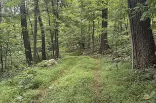 Sundown Rd, Gore, VA 22637 - Photo 1