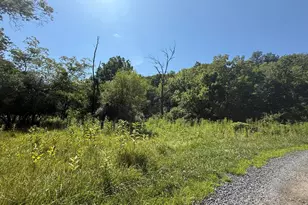 Tbd Forgotten Ln, Clear Brook, VA 22624 - Photo 1