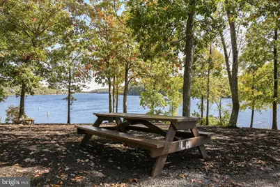 1003 Lakeview Drive, Cross Junction, VA 22625 - Photo 113