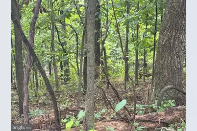 Lot 4 Saltlick Trail, Winchester, VA 22602 - Photo 9