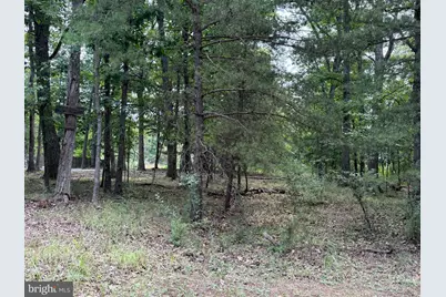Lot 95 Logger Drive, Gore, VA 22637 - Photo 1