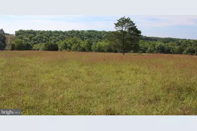 Off Of Mount Olive Road, Winchester, VA 22603 - Photo 15