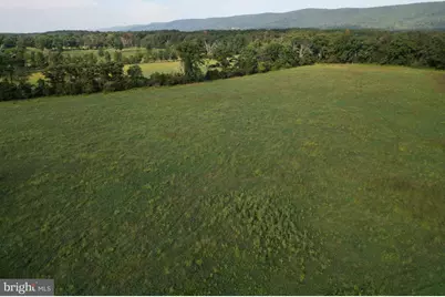 Off Mount Olive Road, Winchester, VA 22603 - Photo 17