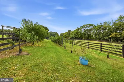 531 Cedar Grove Road, Winchester, VA 22603 - Photo 61