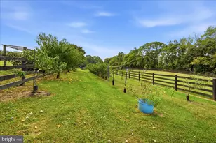 531 Cedar Grove Rd, Winchester, VA 22603 - Photo 61