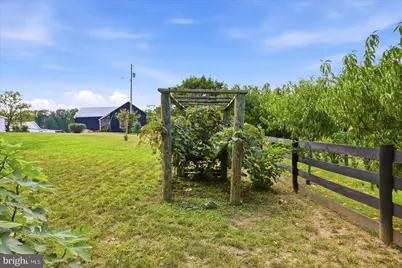 531 Cedar Grove Road, Winchester, VA 22603 - Photo 63