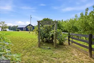 531 Cedar Grove Rd, Winchester, VA 22603 - Photo 63