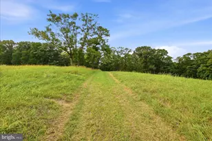 531 Cedar Grove Rd, Winchester, VA 22603 - Photo 39